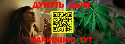 амф Донской