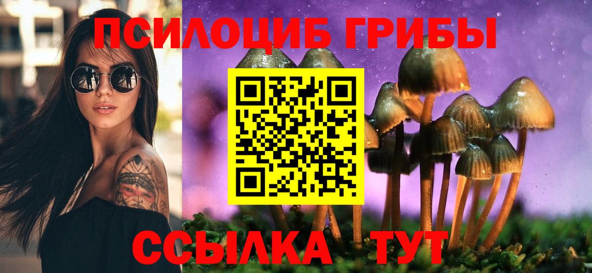 Чита  Псилоцибиновые грибы GOLDEN TEACHER  Вход с VPN 