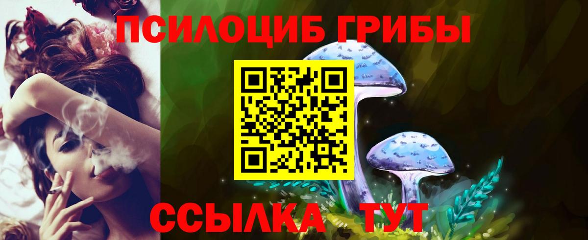Галлюциногенные грибы Psilocybine cubensis Чита